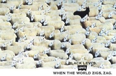 fanny_ct's tweet photo. "When the world zigs, zag."
Barbara Noakes, genius. https://t.co/VBx1PwRow2