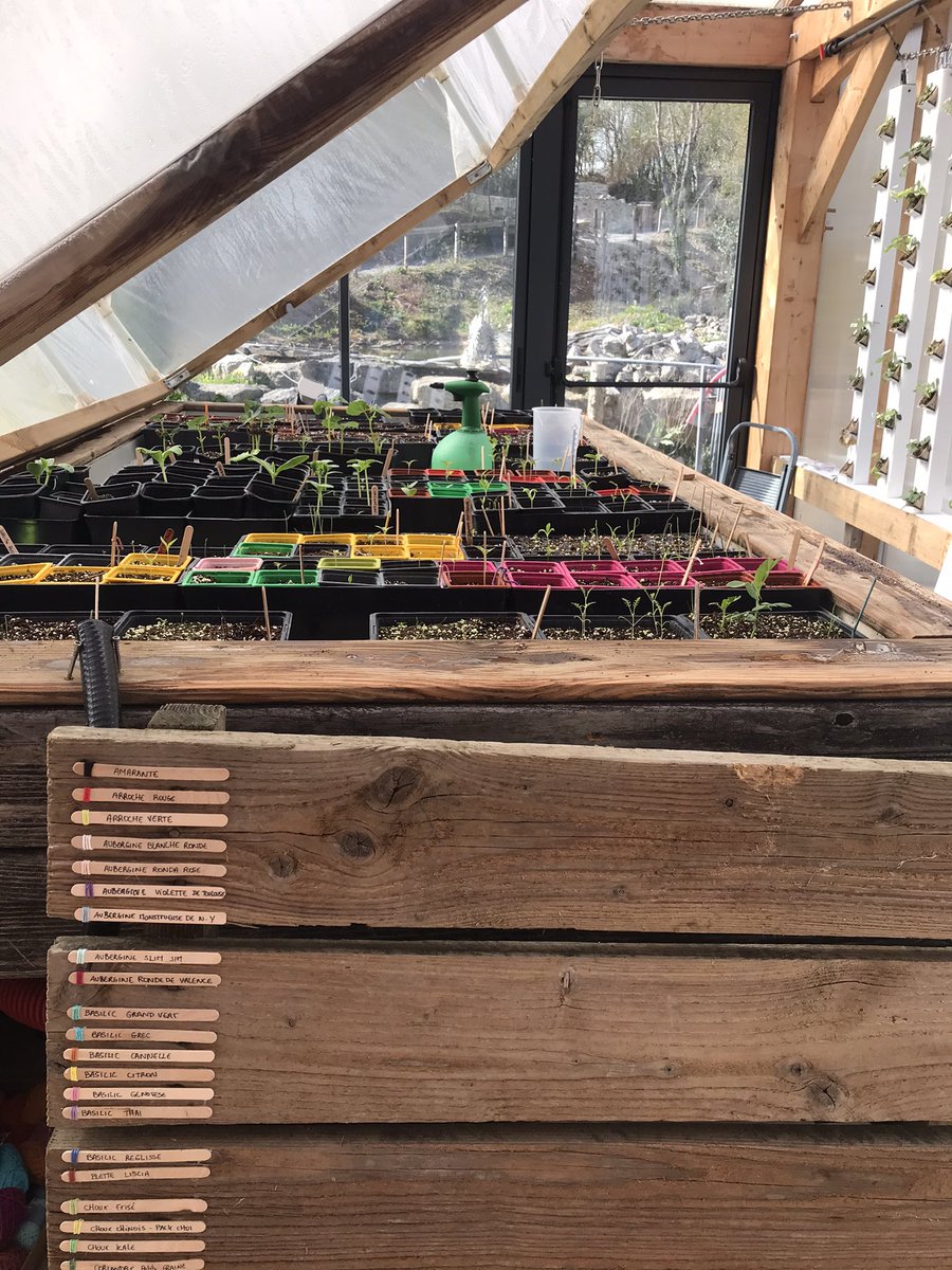 🌱ça pousse, ça pousse 🌱 Prochaine formation Aquaponique du 26 au 30 avril 2021. Venez apprendre et comprendre le monde merveilleux de l’Aquaponie !#aquaponie #hydroponie #aquaculture #formation #enseignement #cpf