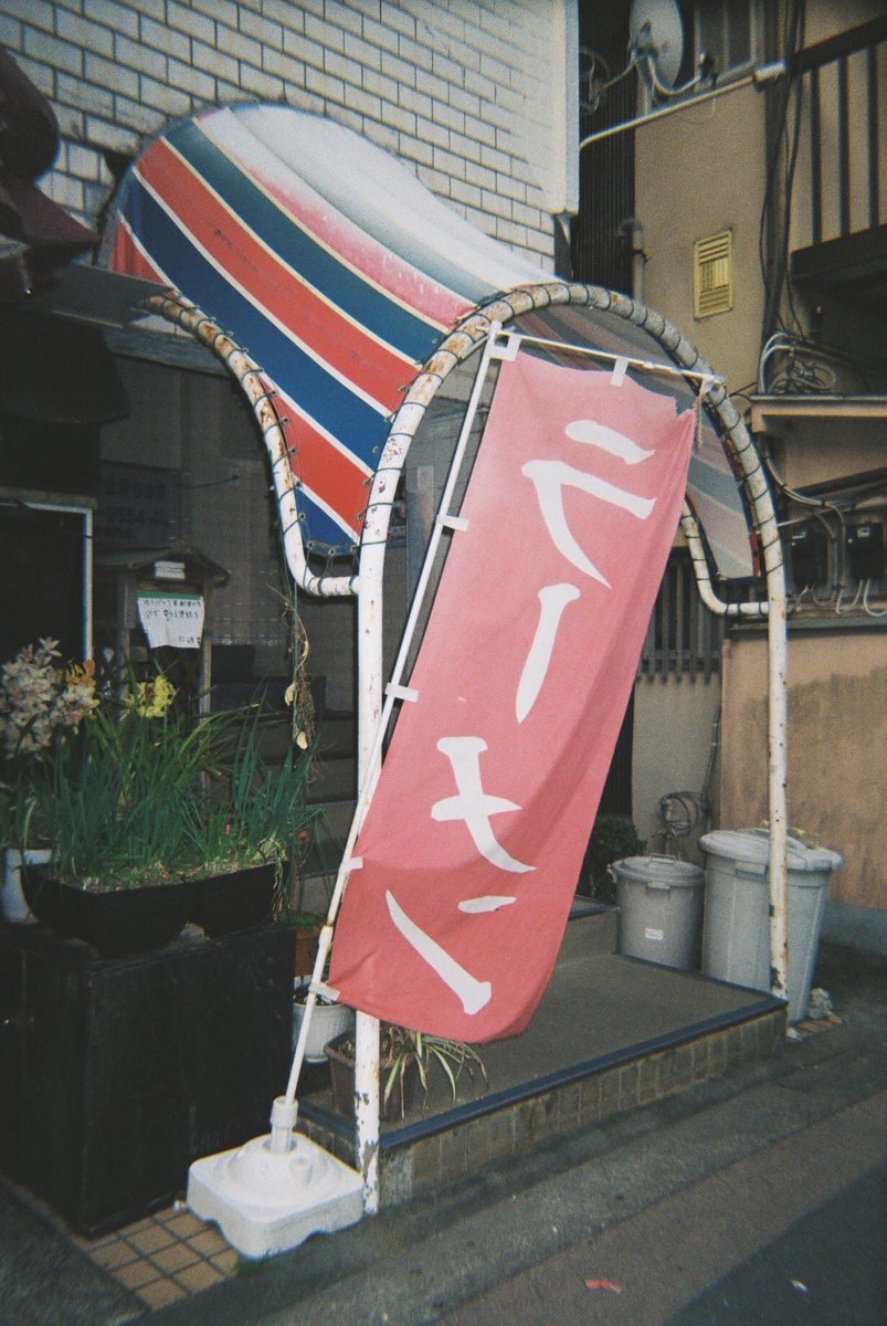 Rinco Koyama / 写真家兼占い師 tweet media