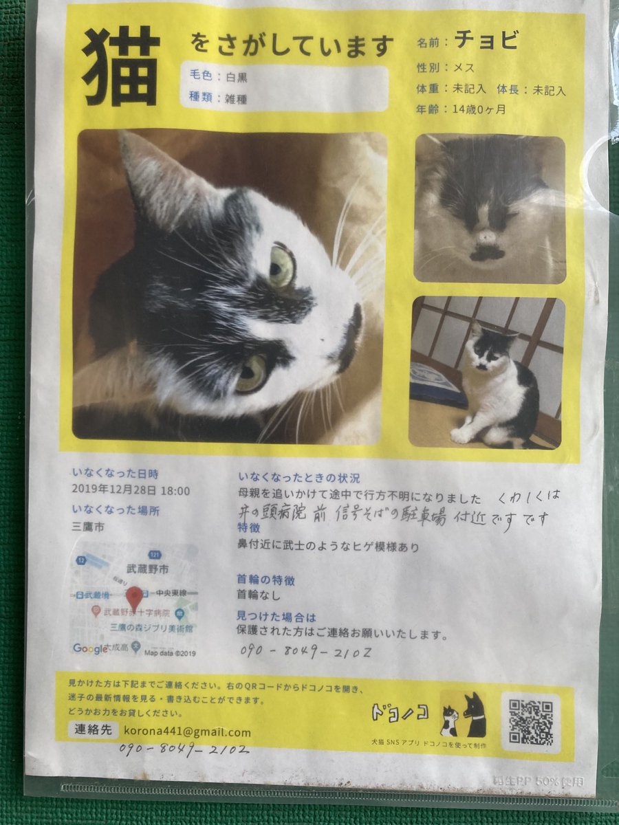 迷子rt専門 固定ツイに 迷子関連のまとめが有るので見て下さい Maigomap Twitter 迷子rt専門 固定ツイに 迷子関連のまとめが有るので見て下さい Maigomap Twitter