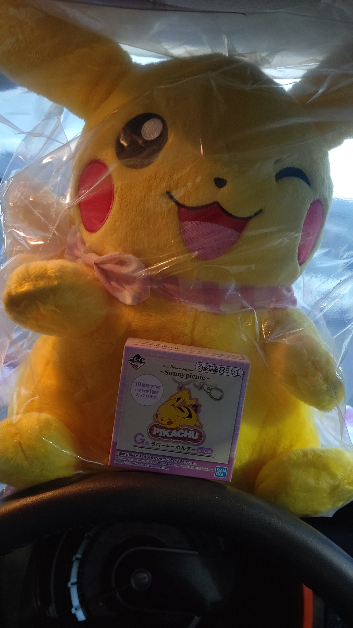 孔雀青 ピカチュウ当たったーー ポケモン 一番くじ T Co E1zlvvpm5b Twitter