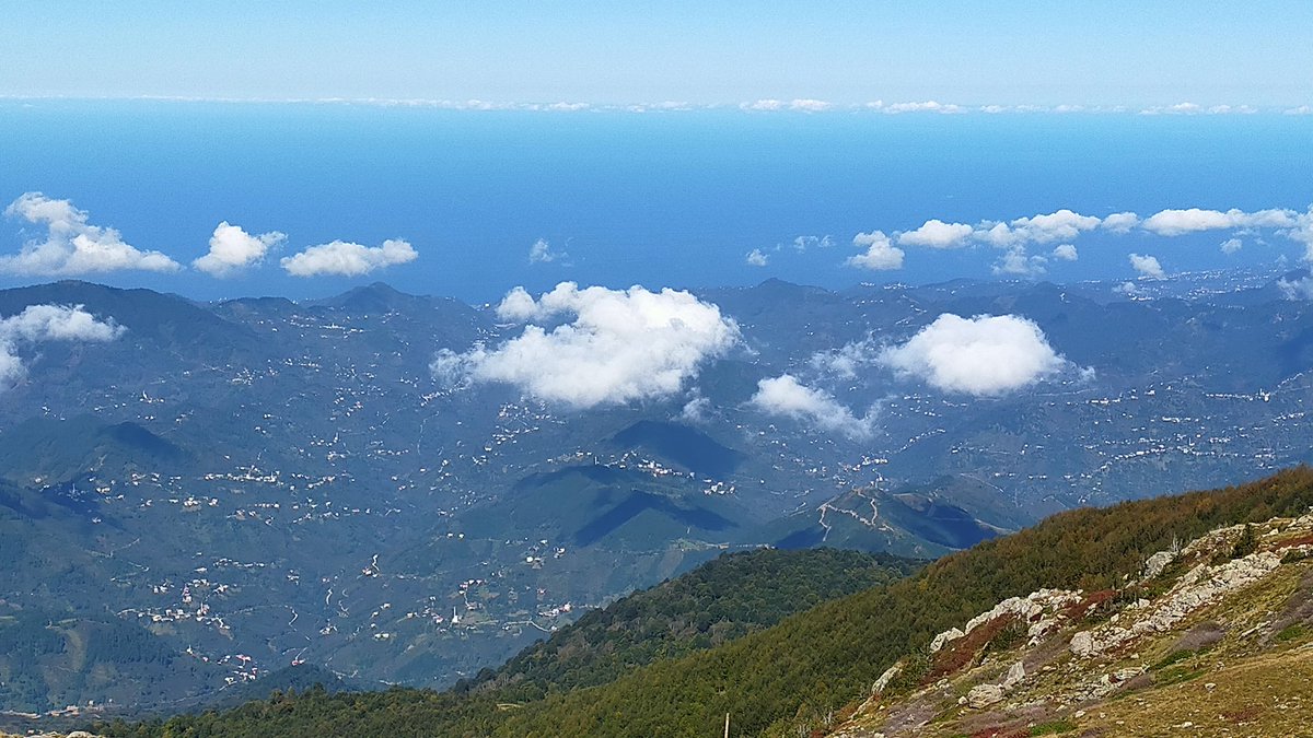 Giresuncaa's tweet photo. Beni anca yayla paklar... https://t.co/XfkY8iyK7C