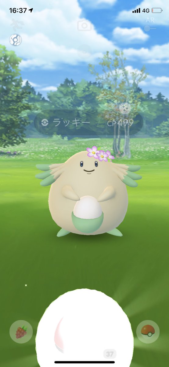 ポケモンgo ハネッコの色違い 入手方法と実装状況 攻略大百科 ポケモンgo ハネッコの色違い 入手方法と実装状況 攻略大百科