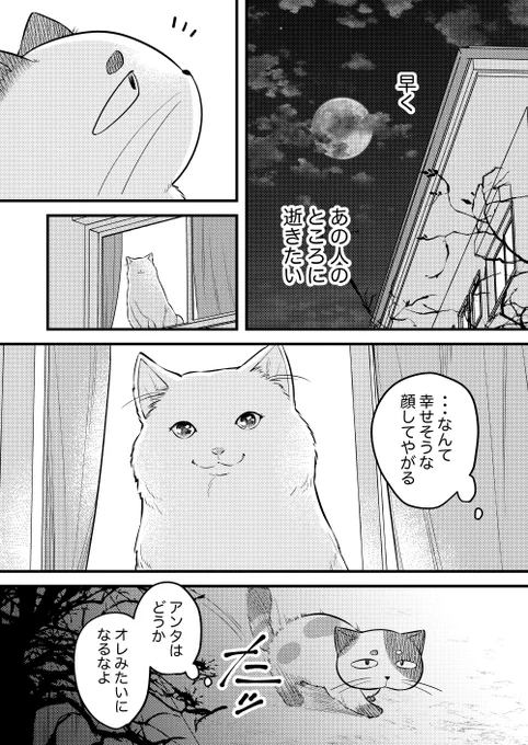 【創作漫画】100年生きた猫のはなし(2/5) 