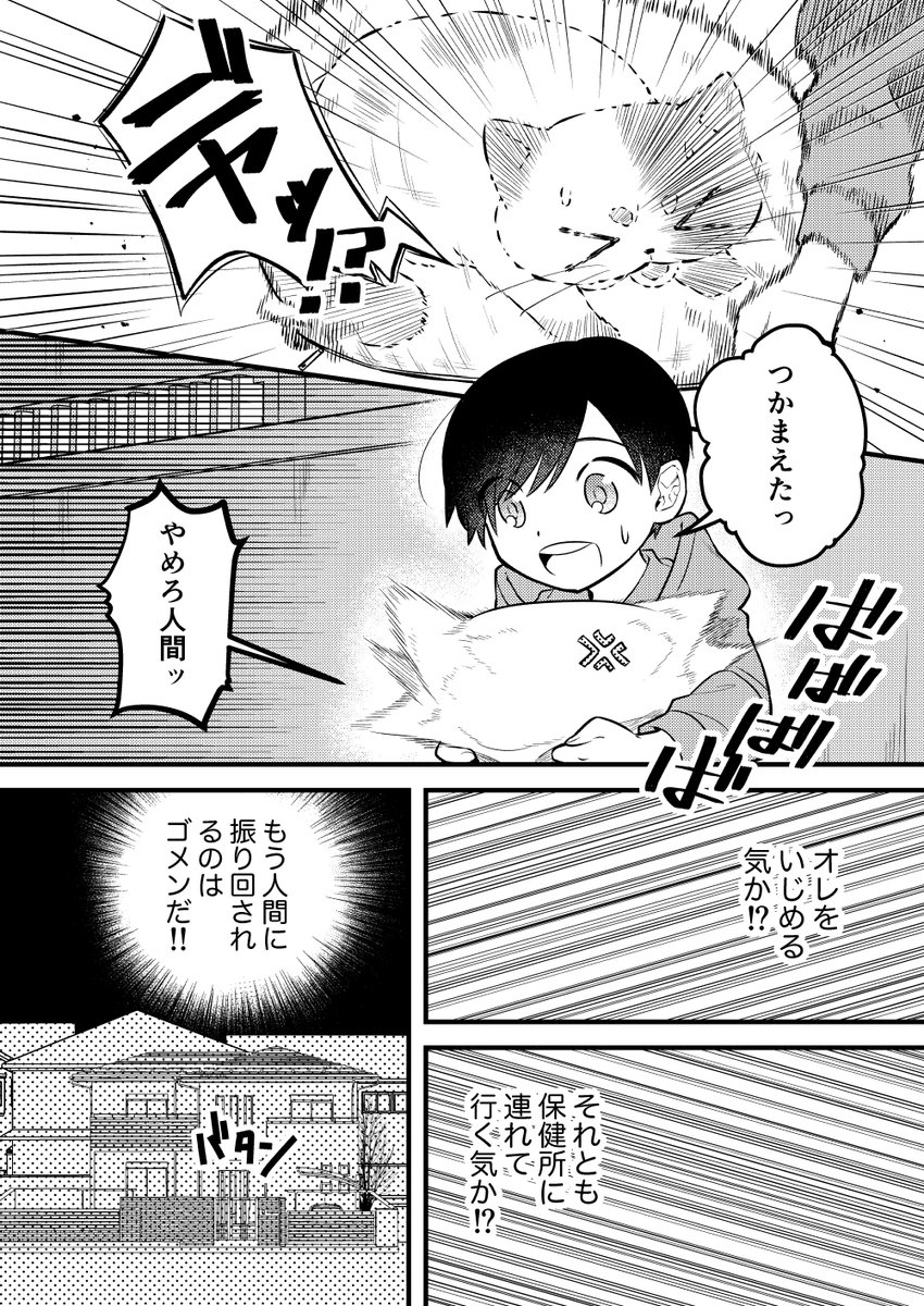 【創作漫画】100年生きた猫のはなし(2/5) 