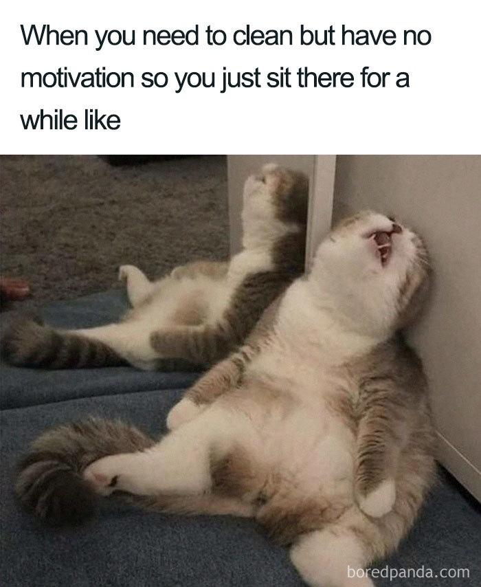 We all know this feeling a little too well - We offer Weekly, Bi-Weekly and Monthly cleaning options, so you don't have to feel like this on a regular basis. ⁠

Request a quote today and receive 20% OFF your first cleaning*

greenhauscleaning.com/request-a-quot…

* First-time clients only.