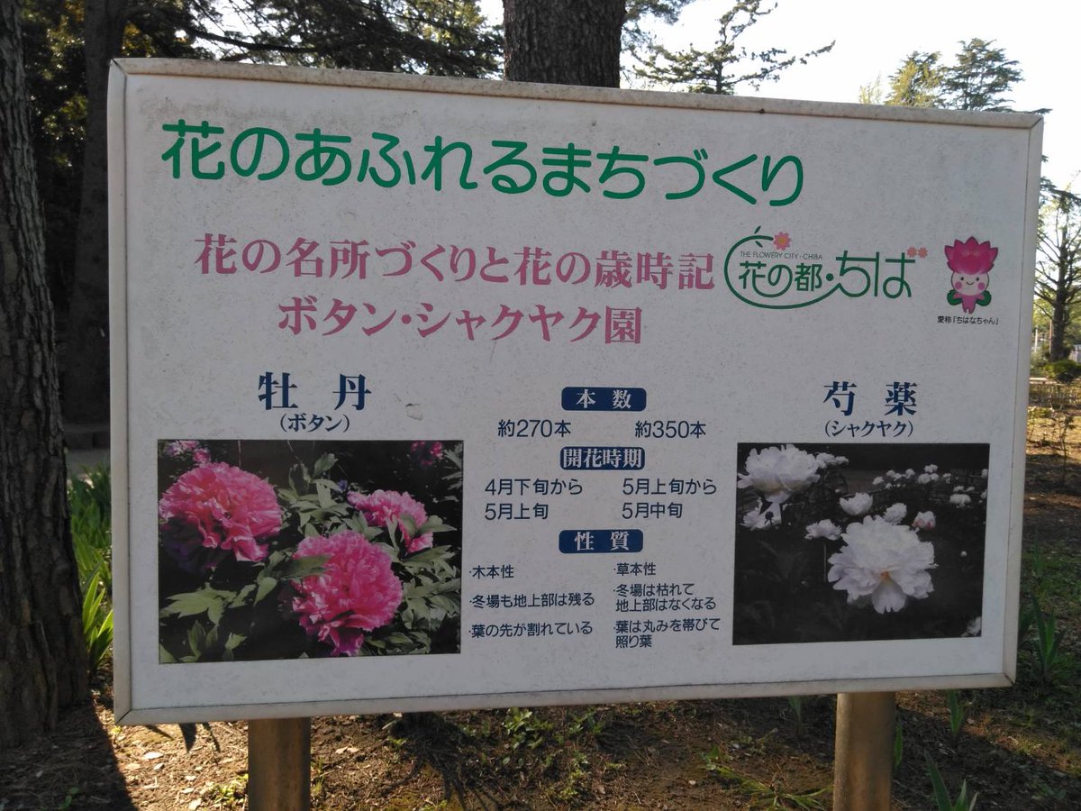 千葉愛の教会 花いっぱい運動 Clc Hanaippai Twitter