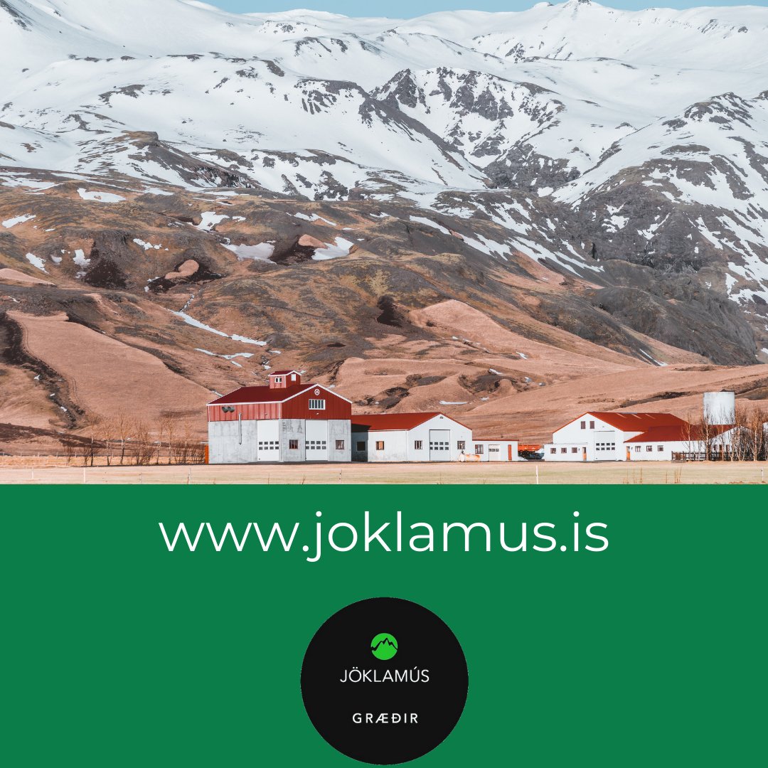 joklamus.is