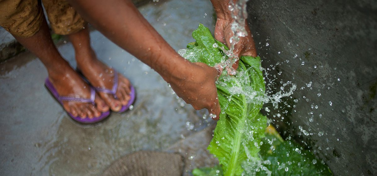 futureoffoodorg's tweet photo. If you're looking for systemic solutions for healthy #foodsystems this #WorldHealthDay, take a look at the case studies about organic agriculture subsidies in Germany, consumer laws in Chile, soil health in China, nutrition programs in Rwanda, &amp; more here: https://t.co/JeSdsXJg8X https://t.co/viweYlpf5t
