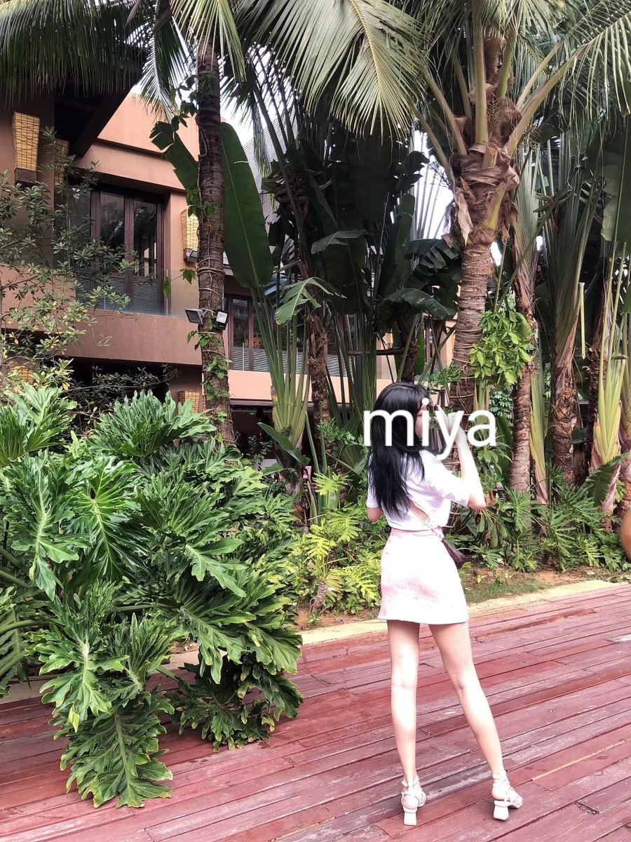 MiYa (@MiYa05653982) / Posts / X