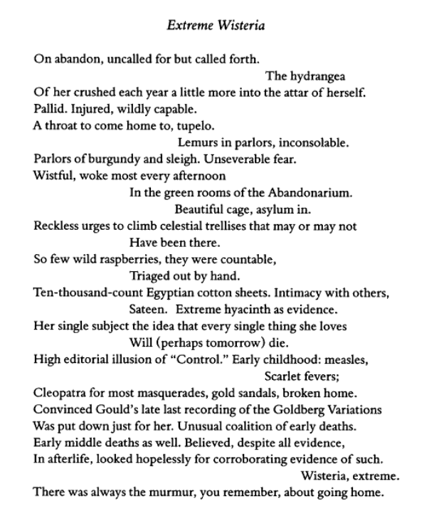 softlycovered's tweet photo. "reckless urges to climb celestial trellises" ~ Lucie Brock-Broido, 'Extreme Wisteria' https://t.co/oKLUH9slSL