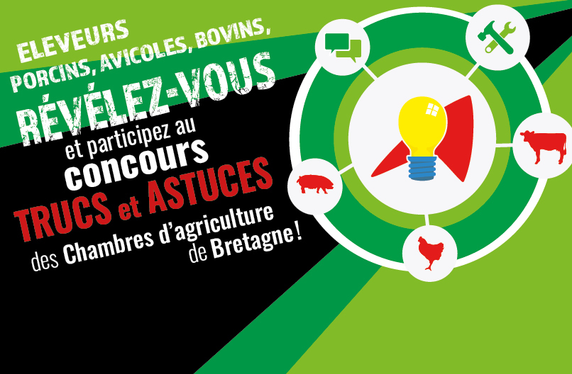 Du 1er avril au 15 juin, partagez vos astuces pour améliorer vos conditions de #travail en #élevage (porcs, volailles, bovins), et gagnez un des chèques ou paniers garnis mis en jeu. 
bretagne.synagri.com/synagri/concou…
<a href="/ReussirPorc/">Réussir Porc</a> <a href="/Porc_mag/">Porcmag</a> <a href="/CRPBretagne/">ComitéRégionalPorcin</a> <a href="/ML_Grannec/">Marie Laurence grannec</a>