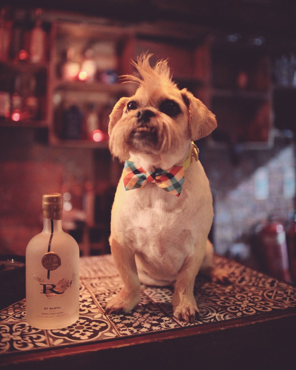 Who's your partner-in-crime when it comes to drinking Rhum St Barth?

Rhum St Barth, the first authentic rhum from the island of St Barth in the Caribbean, an award-winning range. Est. 2010

#rhum #rhumlove #rhumstbarth #stbarthelemy