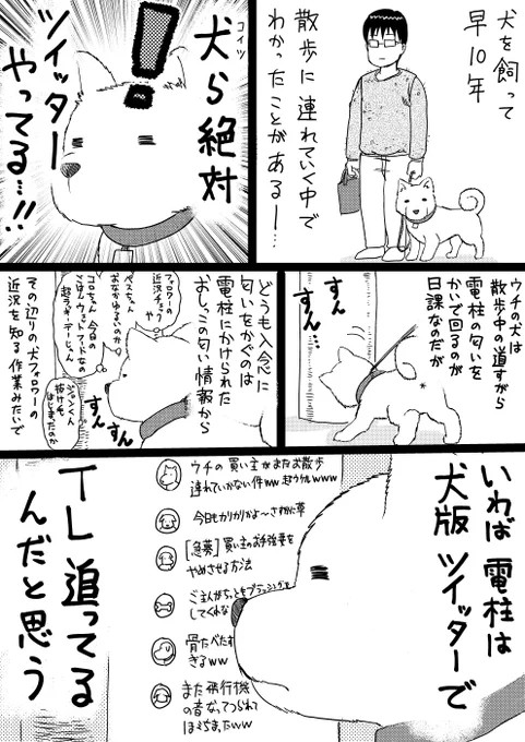 犬は絶対ツイッターやってる?

(※ツイ消しは飼い主の責任です) 