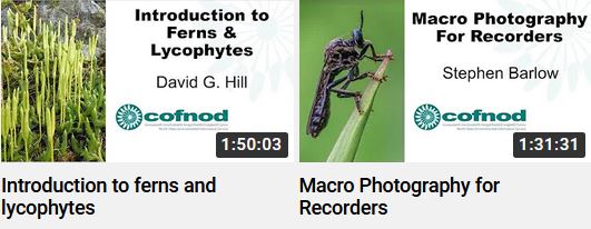 Lots of great UK wildlife and nature talks on our Cofnod YouTube Channel. Introduction to #Ferns and #Macro Photography for records are just the latest additions...
<a href="/cambrianphoto/">Cambrian Photography</a> <a href="/fernatix/">Fernatix</a> <a href="/TreborthBG/">Treborth Botanic Garden</a> <a href="/fossilplants/">Robbie Blackhall-Miles</a> <a href="/joshual951/">Joshua Styles</a> <a href="/BangorEntSoc/">Bangor Uni Entomology Society</a> 
youtube.com/channel/UC5pUU…