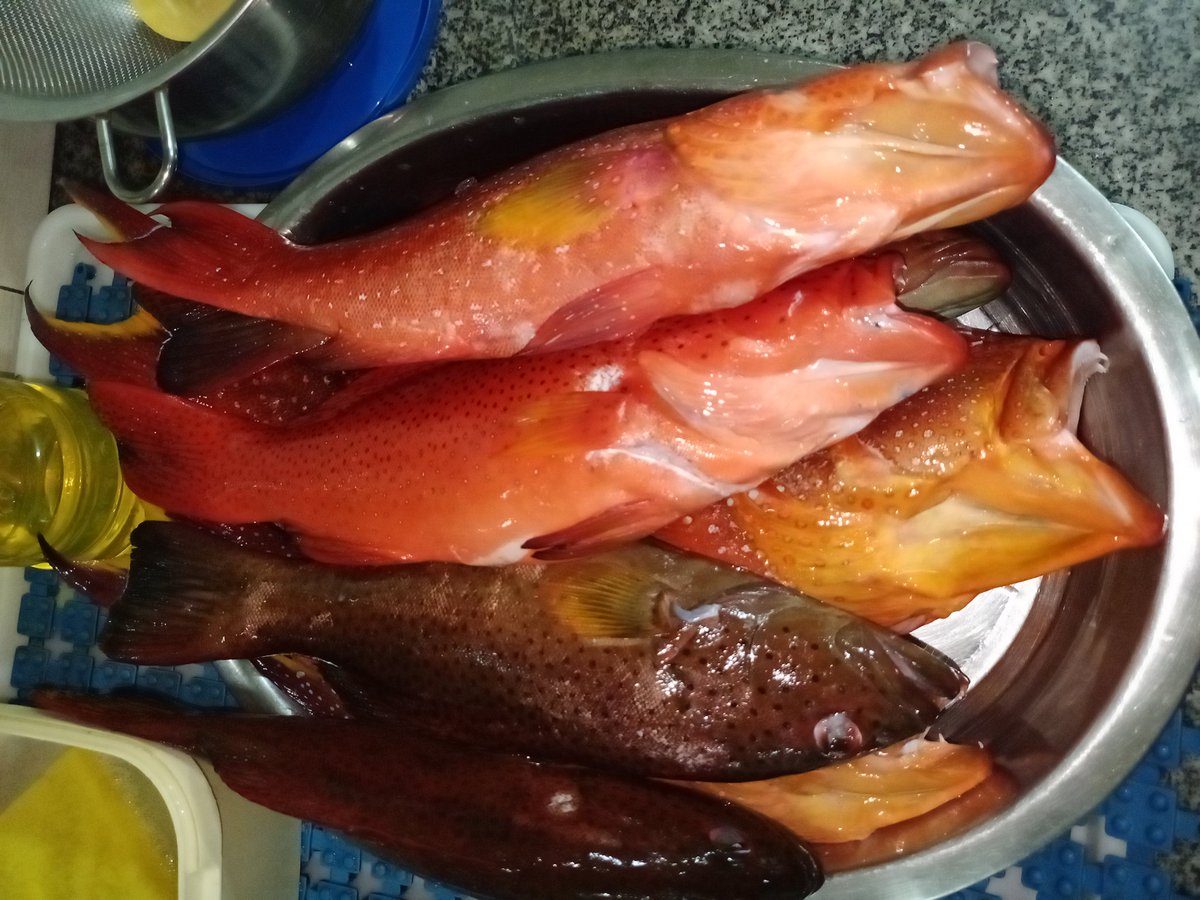 AngelaCalape's tweet image. Lunch mga isda