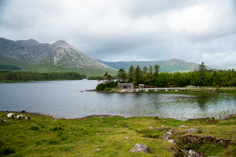 Tinyboots_'s tweet photo. With county travel opening up again, it's finally time to get back to visiting the best spots in Connemara. So far, here is my list of the best things to do in the region:
https://t.co/XaI7WBxyJi
#galway #connemara #wildatlanticway https://t.co/vRw1clNqoj