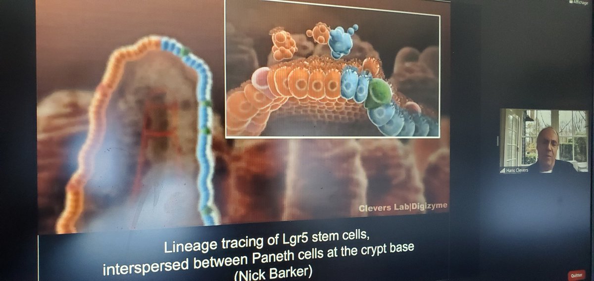 Terrific talk from <a href="/HansClevers/">Hans Clevers</a> on the interest of organoid in cancer research. <a href="/SUNRiSE_cancer/">solid tumor cancer stem cell network</a> <a href="/FSSCR_officiel/">FSSCR</a>