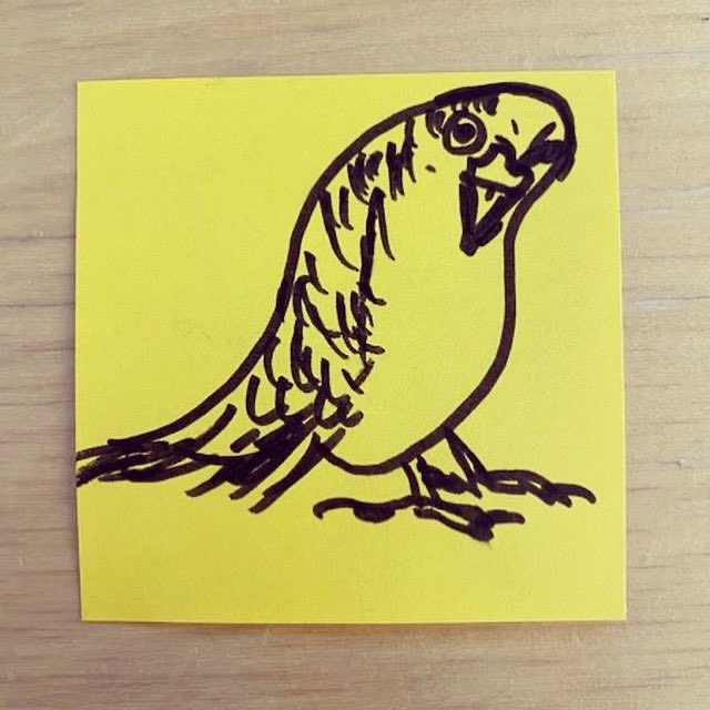 tierderwoche's tweet photo. Der Wellensittich 
#tierderwoche #postitart #postit #stickyart #illustration #postitwar #düsseldorf #kunstindüsseldorf #arbeitenbeisipgate #homeoffice #zuhause #zuhausebleiben #stayathome #wellensittich #budgie #budgerigar #budgiesofinstagram https://t.co/hLNkDAIbIl