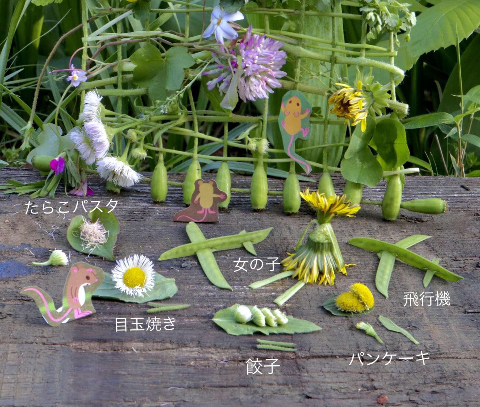 Twitter 上的 Inori ナガミヒナゲシが咲いています 花後の鞘を使って春の花のタペストリーをつくりました 子どものころ憧れだった機織りごっこが野の花でできます 野ねずみきょうだいの草花あそび 秋から春まで T Co Mqqp9qmzdw には春の草花遊びも