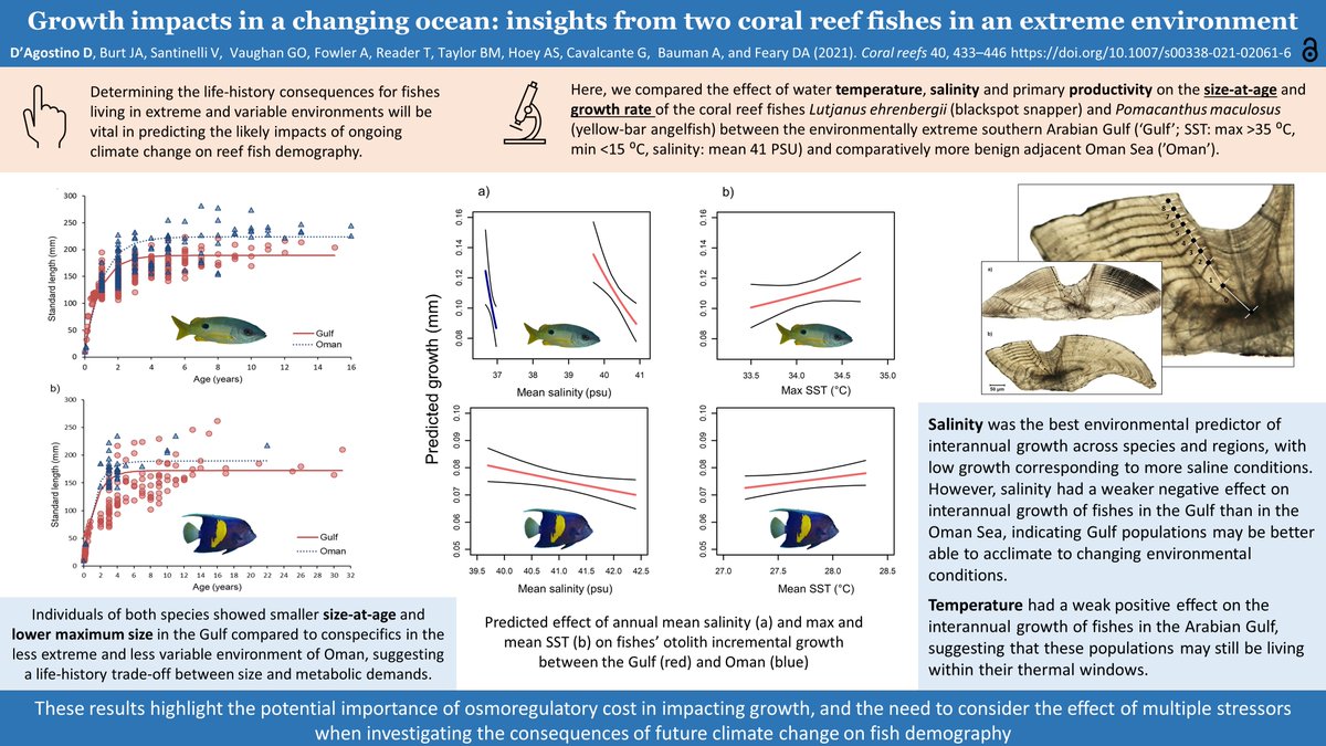 🚨3rd #PhD paper out in #CoralReefs!🚨
We showed the importance of salinity &amp; osmoregulatory cost in impacting #fish growth, and the need to consider the effect of multiple stressors when investigating the consequences of #ClimateChange on🐠demography
OA👉bit.ly/39Rne6d