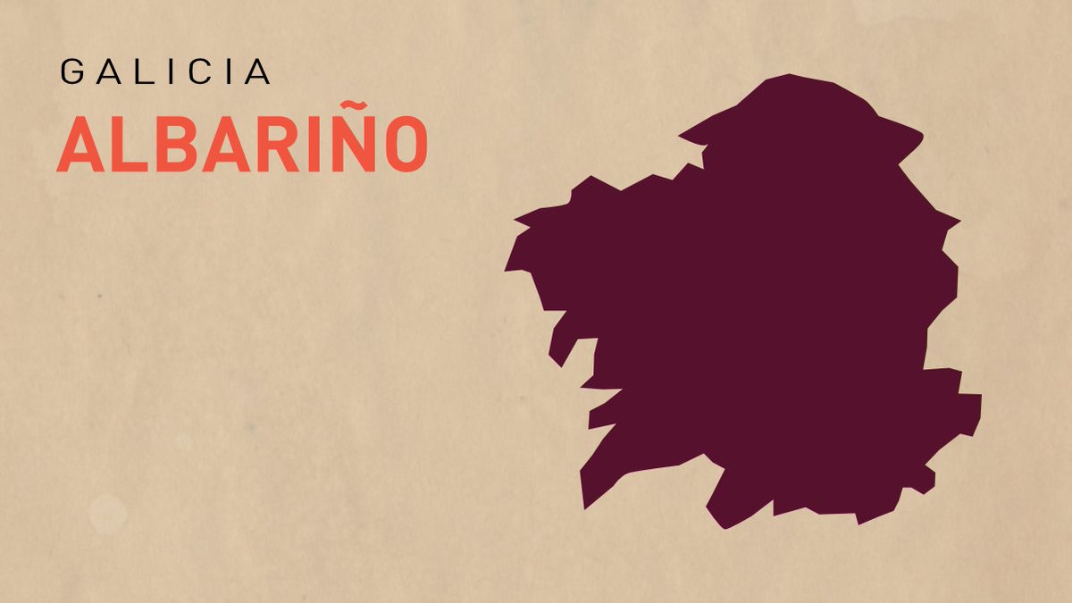 🍷 El Albariño es una variedad de uva de un vino de graduación alcohólica elevada y de alta acidez.

🗺️ Se dice que la variedad fue traída por monjes del Orden del Cister desde Francia. Sin embargo, las evidencias científicas apuntan a un origen nativo de Galicia.