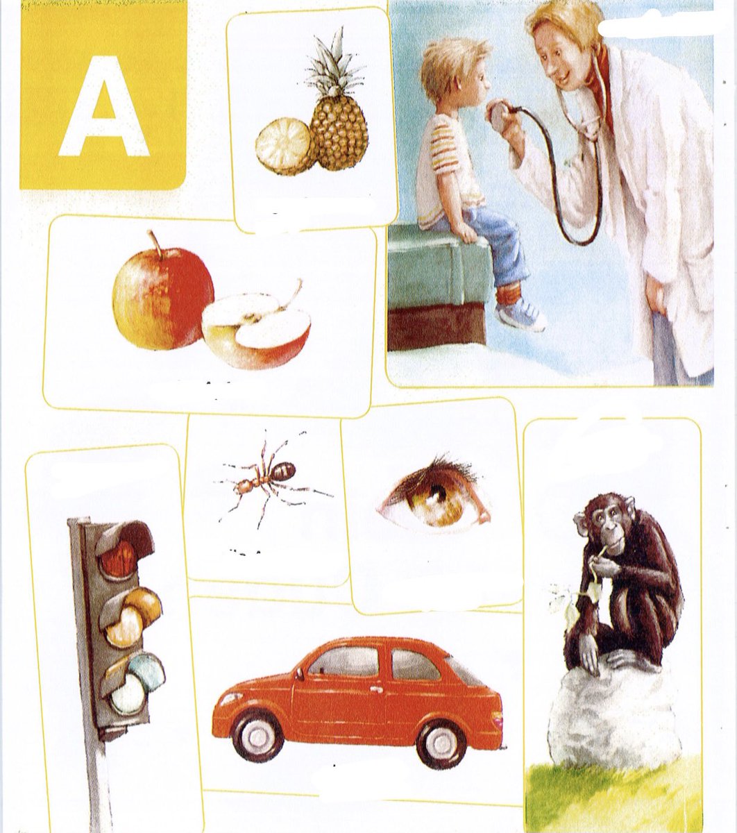 sibel 🎈 (@sibelandfriends) on Twitter photo 