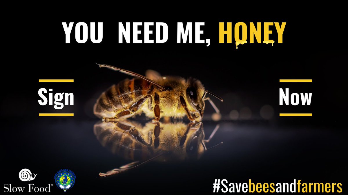SlowFoodEurope's tweet photo. #WorldHealthDay : It's time to #bee heard by the EU! We need a just transition to a #pesticidefree agriculture that protects #biodiversity & ensure the health of farmers, consumers & animals. ๐งโ๐พ๐๐ฎ๐
Sign & share the ECI #savebeesandfarmers
๐ https://t.co/ITbPMYZgdN
@BeesEci https://t.co/LonXnCgbB2