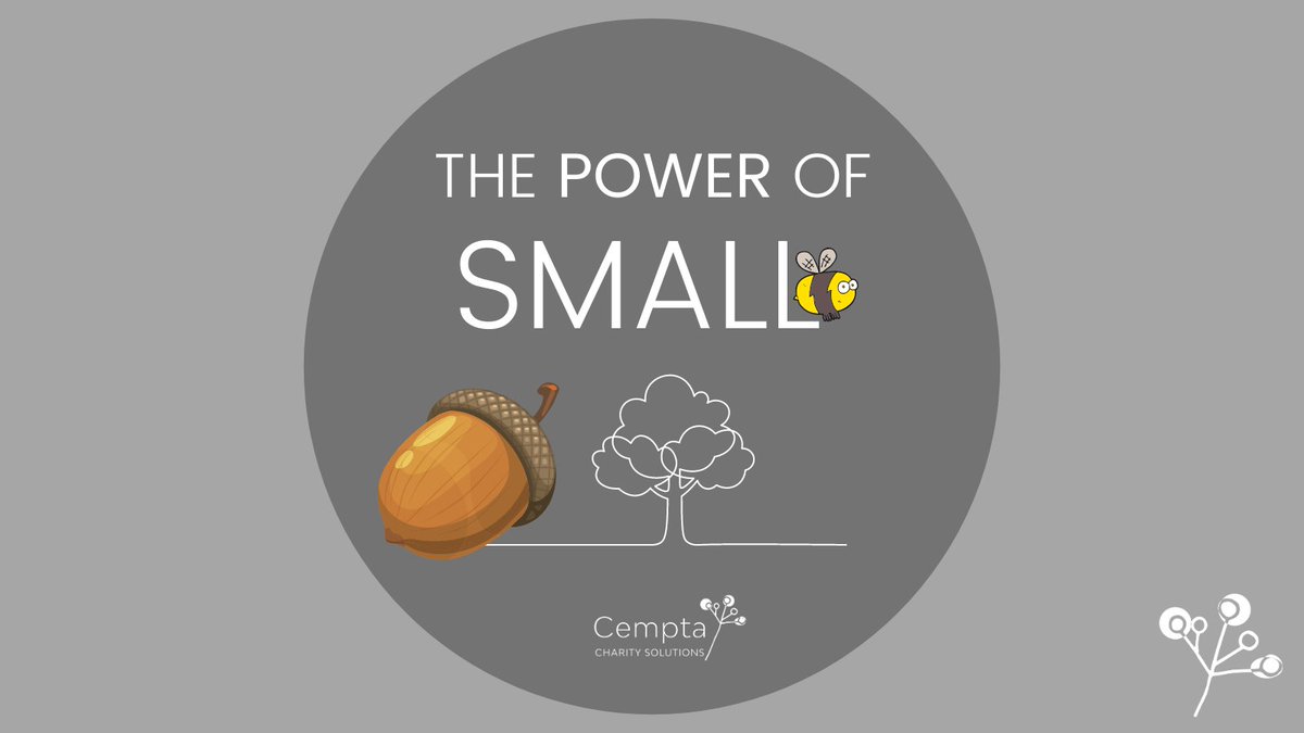 Cempta Charity Solutions tweet media