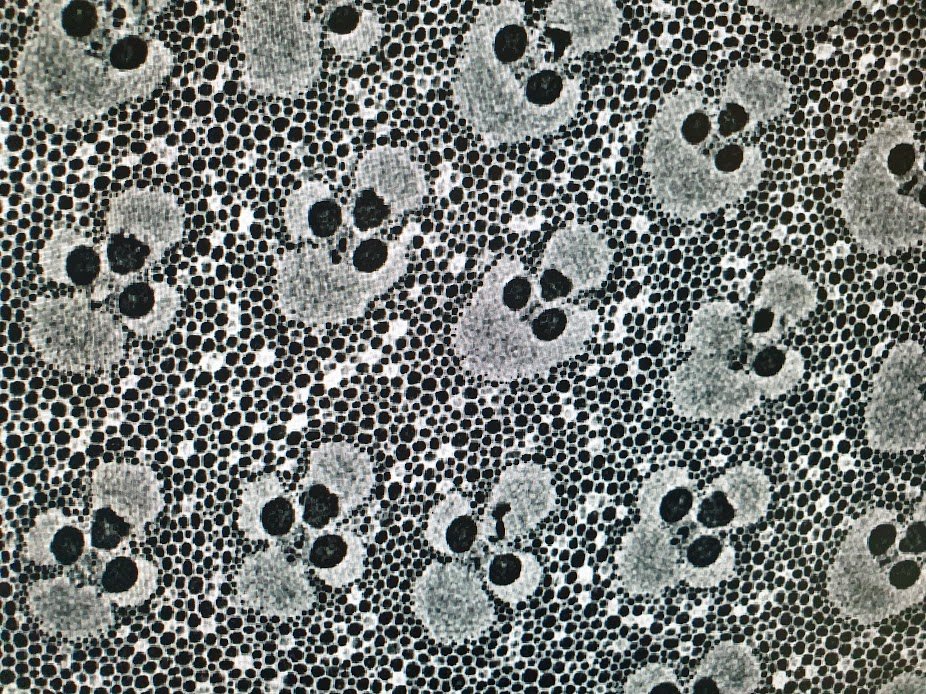boller4's tweet photo. A new tomograph is available at ESRF for industry! #microtomography #phasecontrastimaging #BM05 #EBS
Restaurants are closed in France but chopsticks are scanned at 2.5micron voxel size ;-)
Thank you LAB Motion Systems!(https://t.co/i8fPKKcXUk) https://t.co/Du0nscg8kj