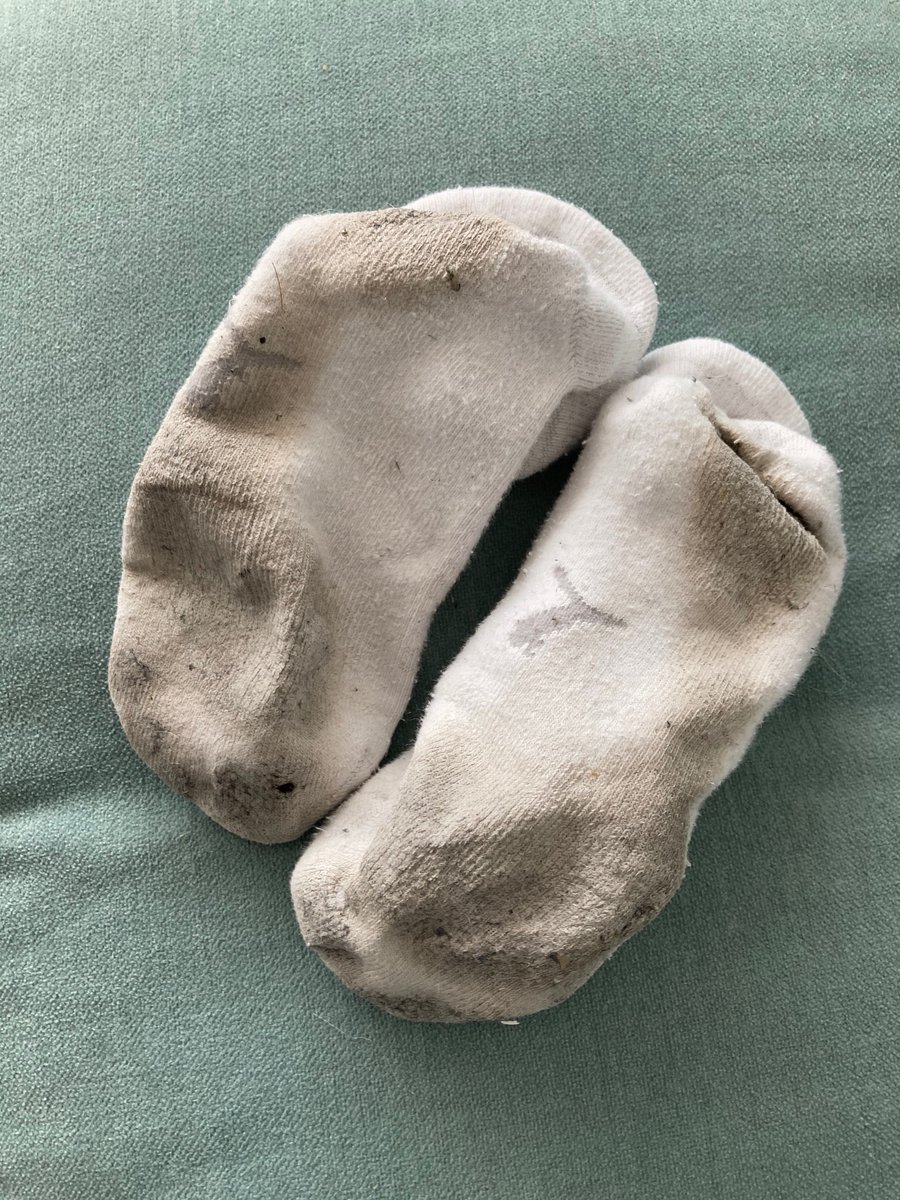SoxxStripey's tweet photo. Just walked around in these #smellysocks all day. Who wants to have them and help me out? 💃🏼😘 #sellingcontent #socks #feet #buymysocks #wornsocks #usedsocks #socklover #feetphotos #feetpics @Soxsnake @feet https://t.co/Nv92LA7Wx2