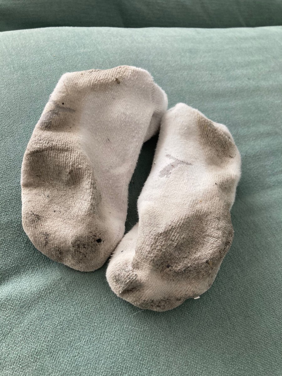 SoxxStripey's tweet photo. Just walked around in these #smellysocks all day. Who wants to have them and help me out? 💃🏼😘 #sellingcontent #socks #feet #buymysocks #wornsocks #usedsocks #socklover #feetphotos #feetpics @Soxsnake @feet https://t.co/Nv92LA7Wx2