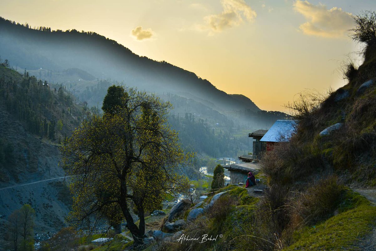 Thank you @abhinav_behal for sharing these enchanting snaps depicting beauty and peace of Dudu Valley in Jammu! It indeed is a lovely canvas of nature.
#DekhoApnaDesh
@JandKTourism