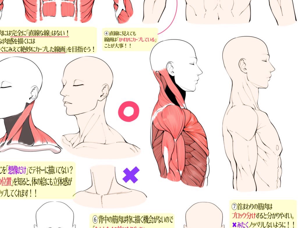 「本気でイラスト練習したい‼️」
って人にFANBOX講座はかなりオススメです✨✨

①イラスト講座数500枚以上✨
②月額500円でずっと見放題✨
③《毎月7〜8本の新しい講座》を作って追加するアップデート式の講座✨

つまり『1講座60円』ほどで
「新作講座」+【描き方アーカイブ】を見放題できます‼️ 