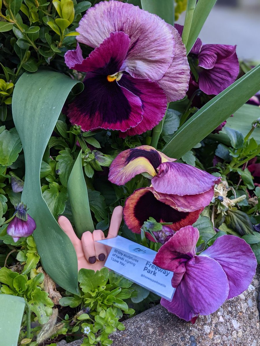 Our flowers match our nails. #springispopping #lovefreewaypark