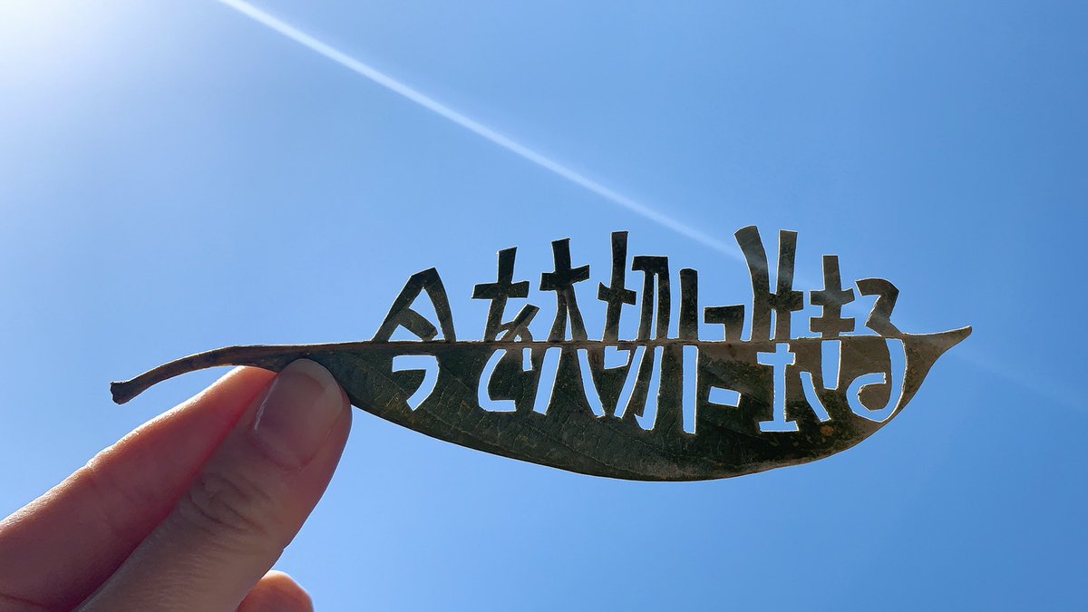 生きていることに感謝 生きていることに感謝