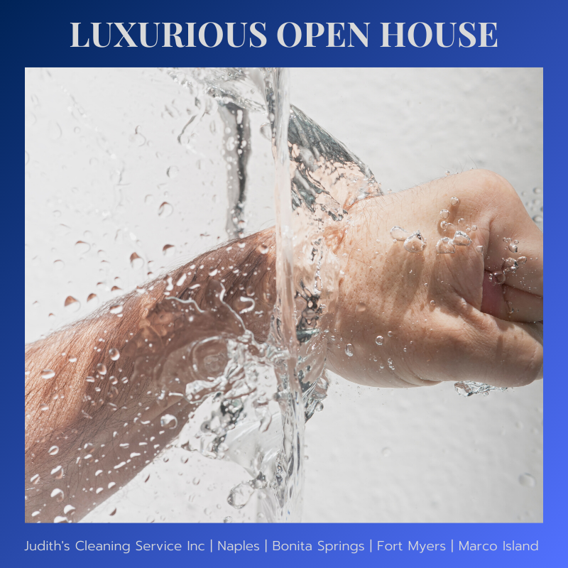 JudithsClean's tweet image. Prior to your housecleaning, your team leader will go over the details of your cleaning package with you. We will provide all the necessary cleaning supplies along with a team of professional housecleaners for one flat rate. buff.ly/2AWapch

#naplesfl #judithscleaning