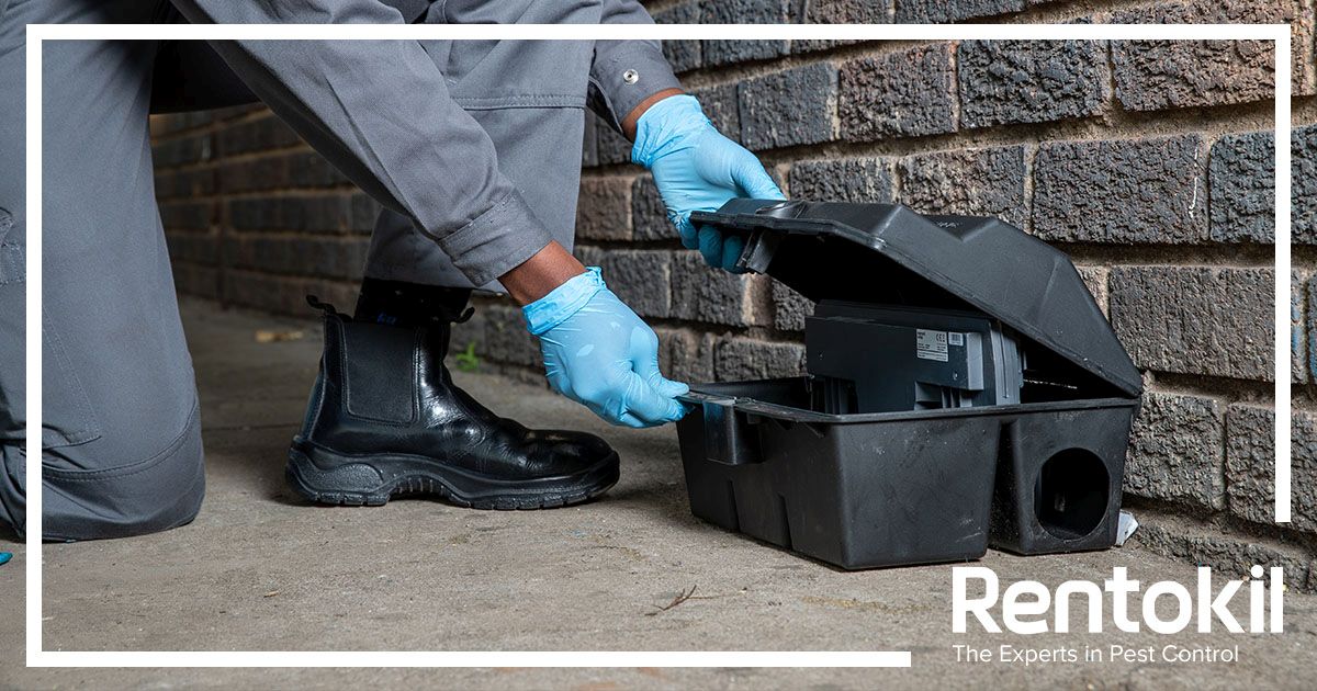 Rentokil UK on X: Dual #AutoGate Connect is the only #PestConnect  connected device available on the market which allows for the strategic  baiting against pest rodents externally, whilst reducing the risk of