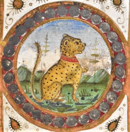 BL_HebrewMSS's tweet photo. For 'Wildlife Wednesday' at the British Library I've chosen this glorious image of a panther. The panther is considered an endangered species #HebrewProject #LetsGetDigital #BLFromHome
https://t.co/m9Pnf3iZam https://t.co/4xJ52kcvGJ