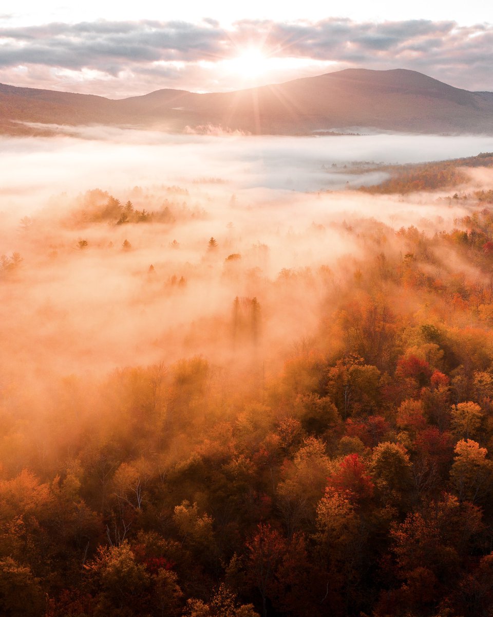 benskaarx's tweet image. Hey! My name is Ben, I’m a 17 year old Travel Photographer. Here is some of my best work! 📸🧡

#OriginalContentArtist