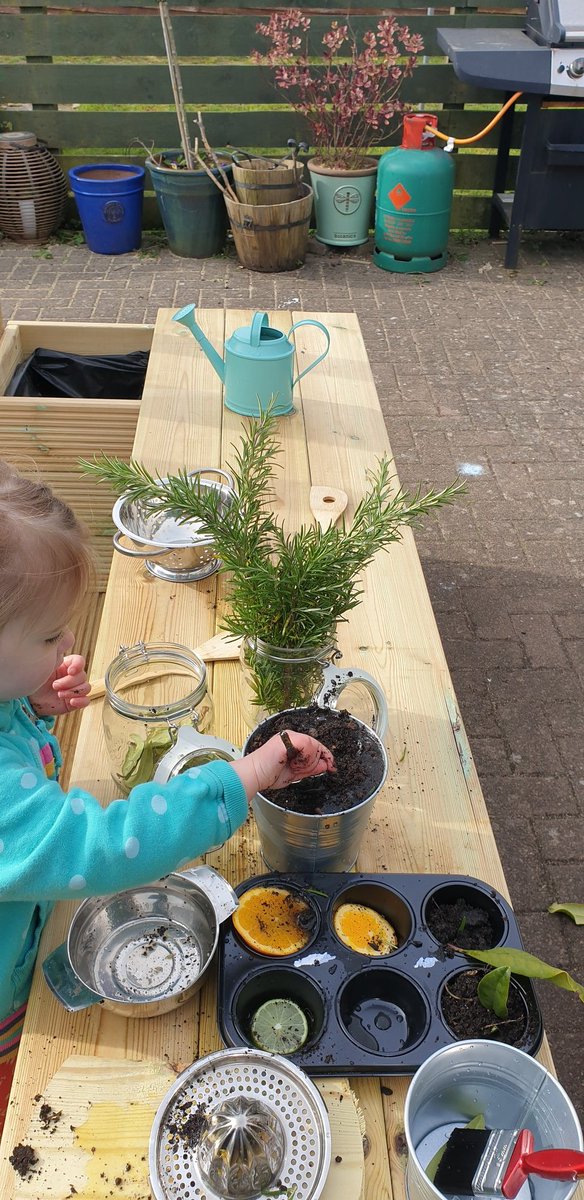LyndseyJF's tweet photo. #TheIvy had it's first customers this morning! Making use of sweet smelling fruit and herbs to increase the sensory experience. โค๏ธ#eytagteam #eytalking #mudkitchen #easterproject https://t.co/MGSMxlAdL6