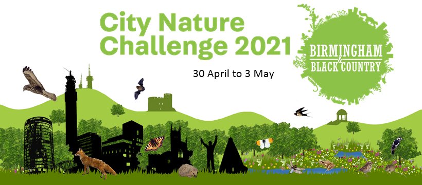 Chris Millward Jnr (@chris4patches) on Twitter photo If YOU live in Birmingham & Black Country join the team and record your local wildlife from 30th April to 3rd May 2021.
Letβs show the world how wild we are!
bbcwildlife.org.uk/CityNatureChal⦠<a href="/WTBBC/">Birmingham & Black Country Wildlife Trust</a>
Please RT to create a MASSIVE TEAM π
ππ¦π¦ππ¦ππ¦π¦‘π¦π³πΌπ¦’ If YOU live in Birmingham & Black Country join the team and record your local wildlife from 30th April to 3rd May 2021.
Letβs show the world how wild we are!
bbcwildlife.org.uk/CityNatureChal⦠<a href="/WTBBC/">Birmingham & Black Country Wildlife Trust</a>
Please RT to create a MASSIVE TEAM π
ππ¦π¦ππ¦ππ¦π¦‘π¦π³πΌπ¦’