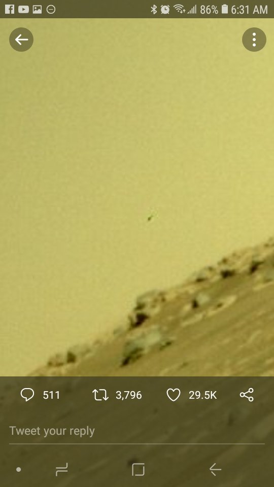 ALBELLFIELD's tweet photo. @NASAPersevere Whats flying in the sky in this image? https://t.co/4yWAVSFKr9