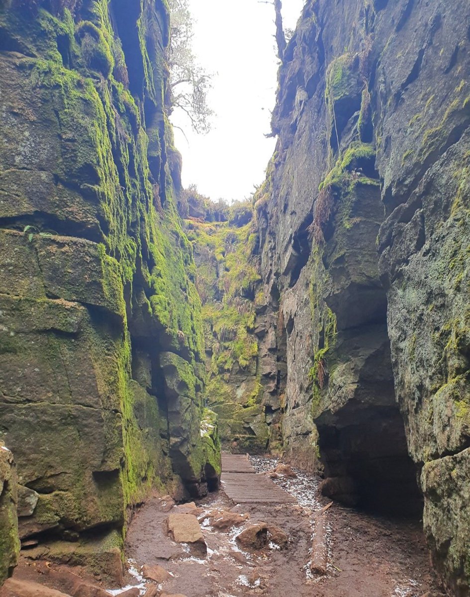 PaulStanton470's tweet photo. Today's walk from Gradbach to Luds Church. Atmospheric rock formations a brilliant place to see. @walkingsbrill @stevehowey624 @bignorms #mintonious https://t.co/8WVeKCByMa