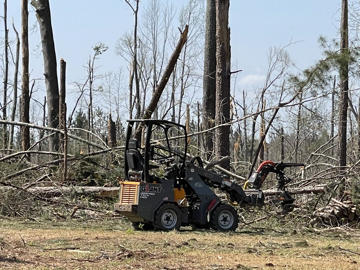 This is all they brought with them. They cut down and moved 30 trees before 10am and they are still there.