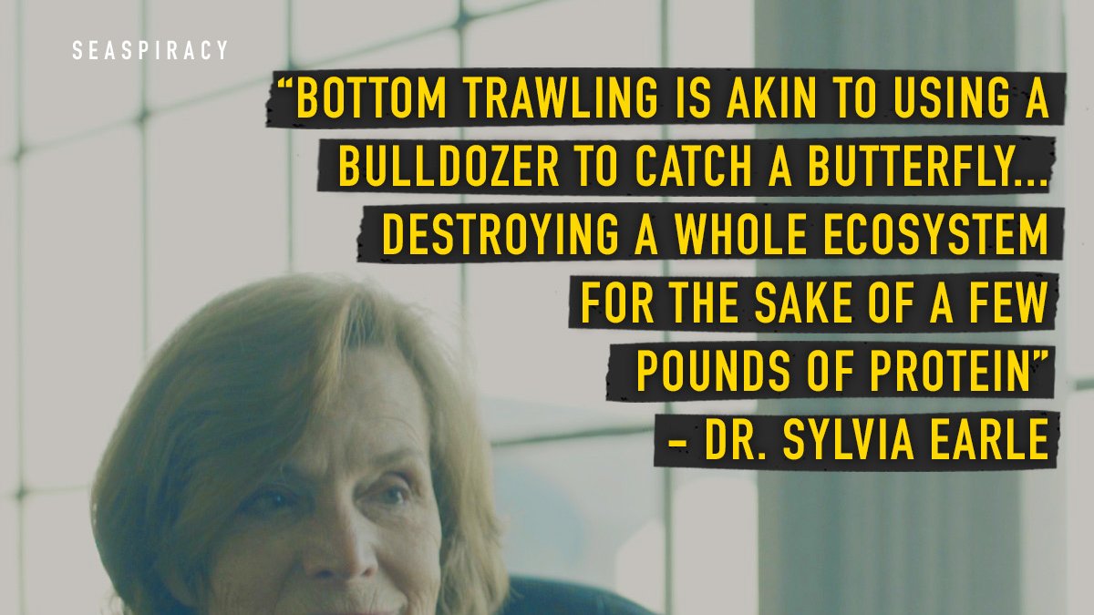 'Bottom trawling is akin to using a bulldozer to catch a butterfly.. destroying a whole ecosystem for the sake of a few pounds of protein' @SylviaEarle