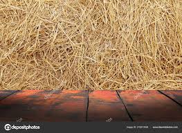TerrificTableSh's tweet image. When straw was used to cover floors to keep them cold, homeowners had to find a way to keep the straw inside when the door was opened. They built a wooden floorboard in the doorway in order to “thresh” (or separate) the straw from the outside. This became known as a threshold.