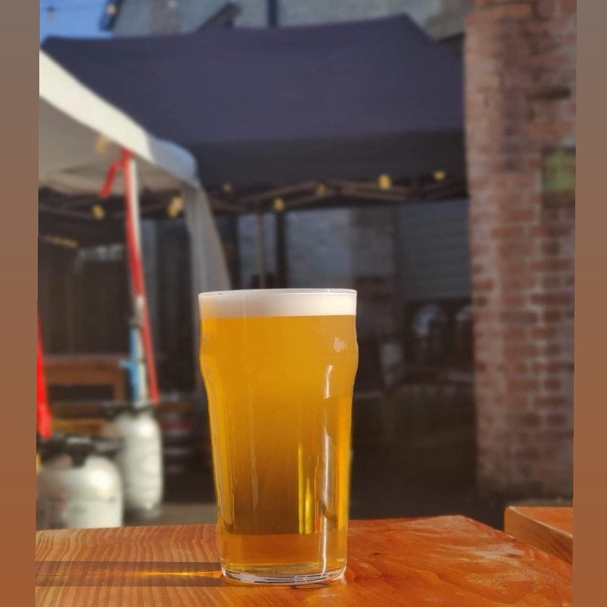 5 sleeps!!! Swan Blonde 🍻🦢💛🤤😋