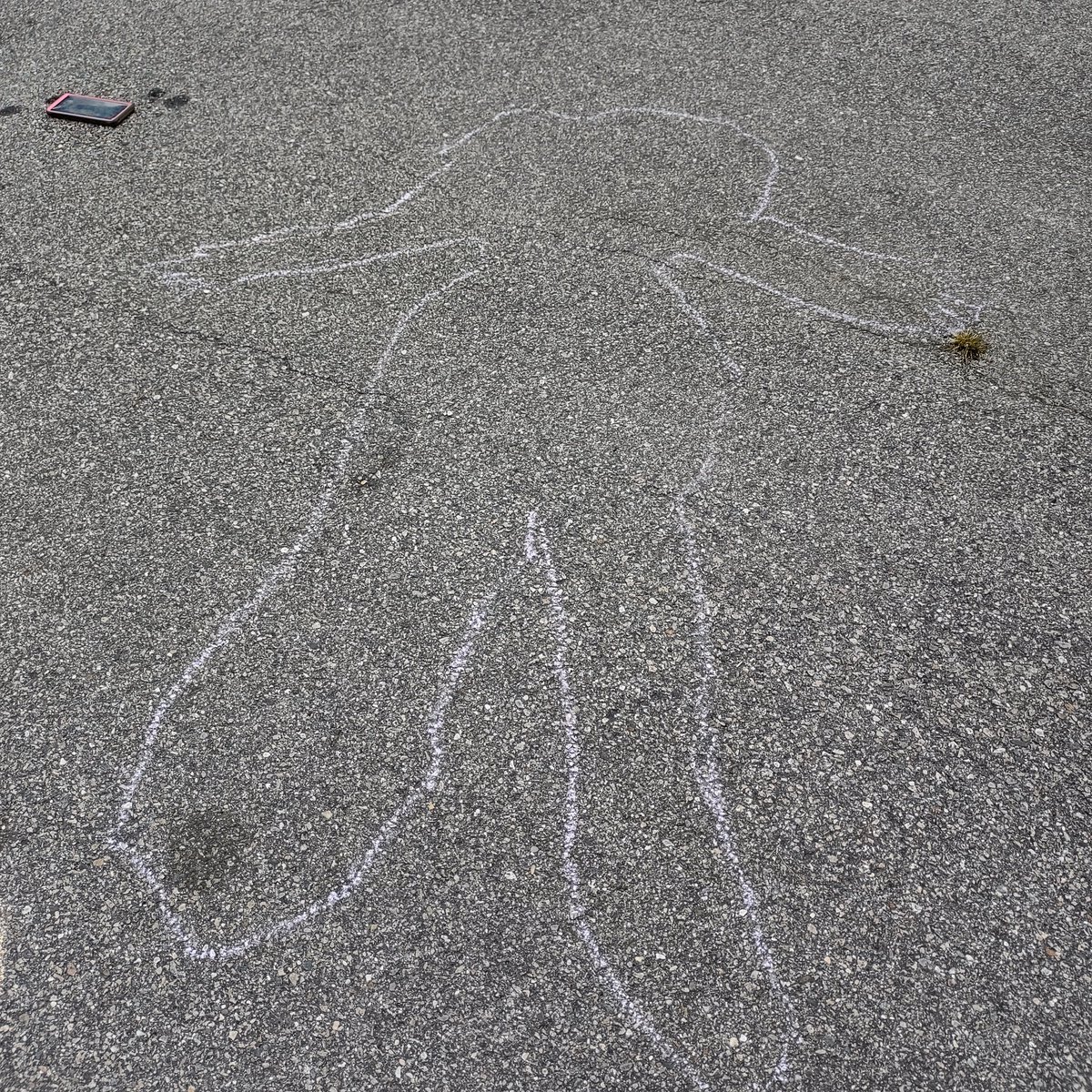 NancyCWalker's tweet photo. My nieces and nephew got sidewalk chalk for Easter. Now my driveway looks like a mass murder took place. π€¦π»ββοΈ #MyLife #OnlyNancy https://t.co/QrrTPagejw