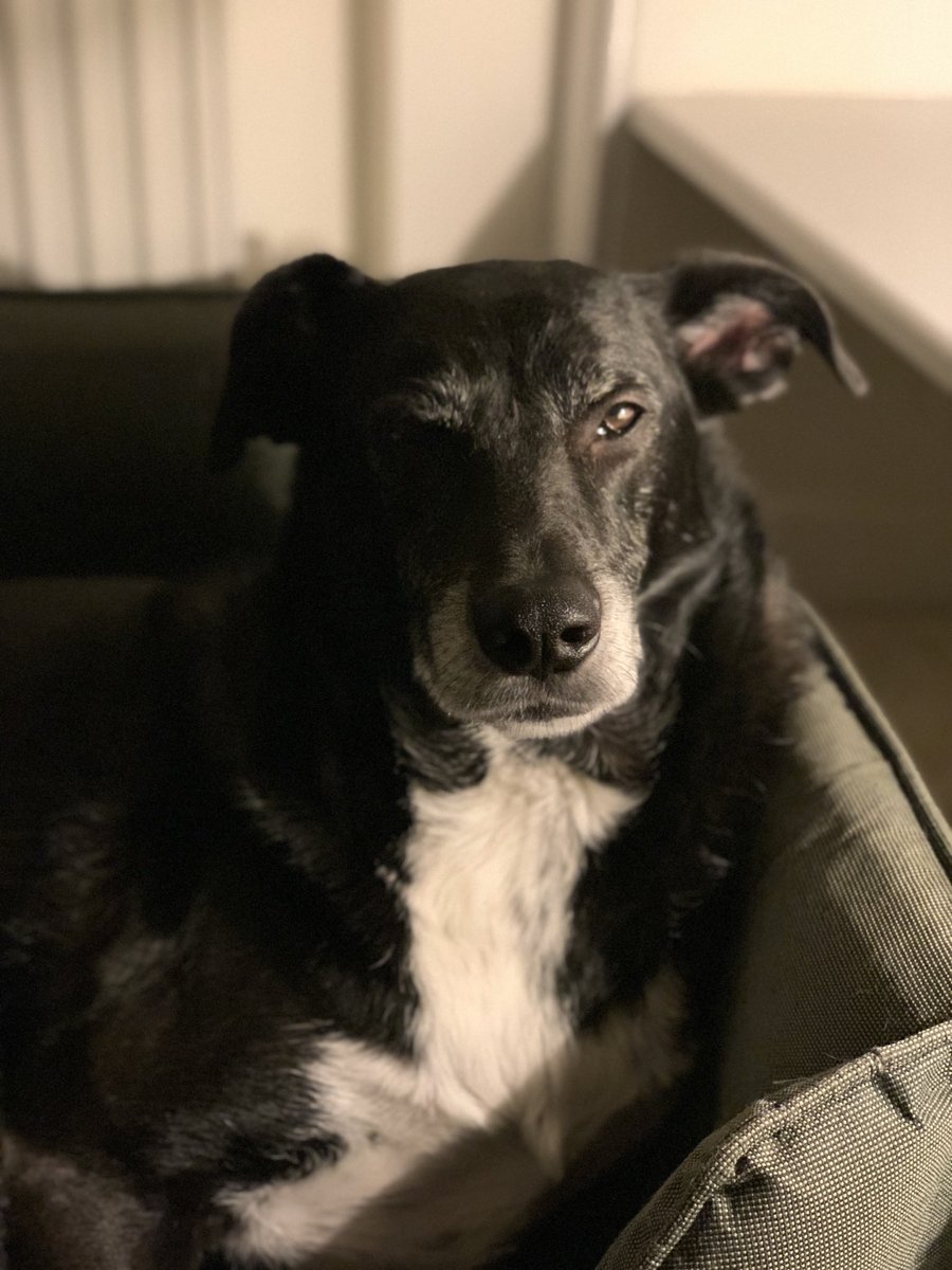 HavocEvents tweet media